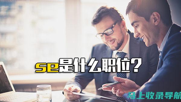 深入了解SEO查询技巧与实际应用案例